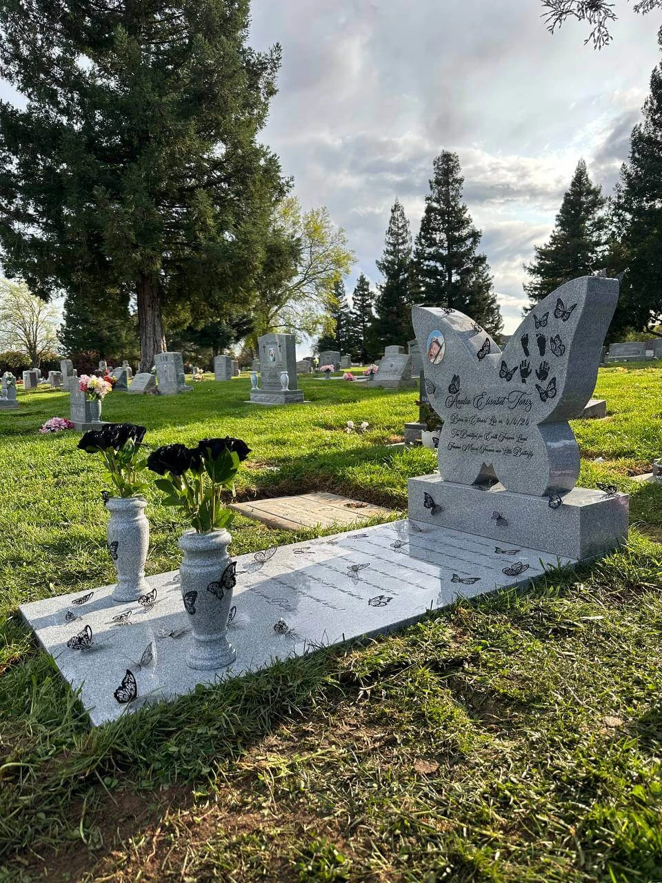 job image 10