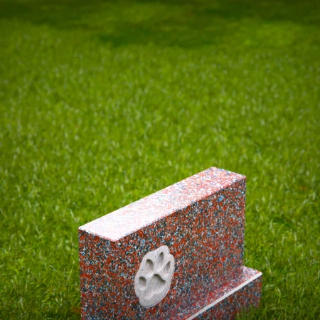 memorial honoring a pet with engraved paw impression for memorials