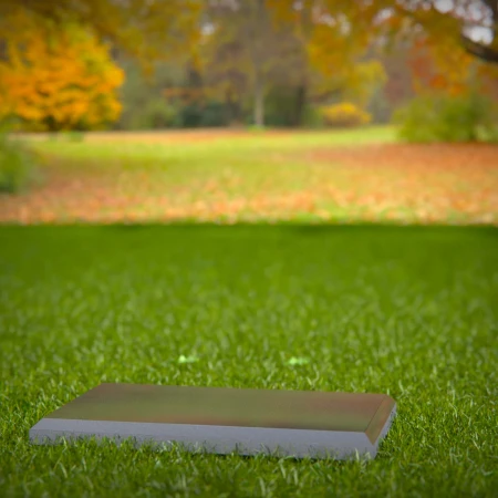 1875 - Flat Grave Marker with Polished Finish on Grass